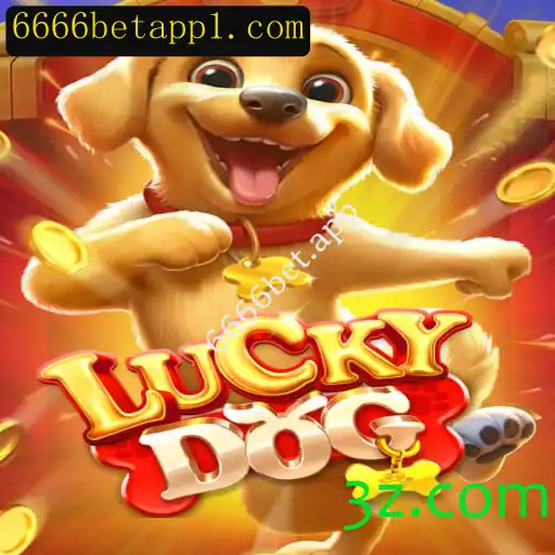 Descubra o Fascinante Mundo de LuckyDog no 6666bet.app